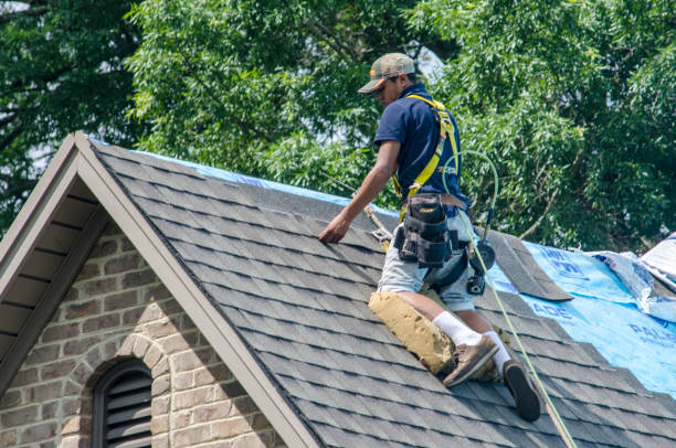 Roof Gutter Cleaning in Waggaman, LA